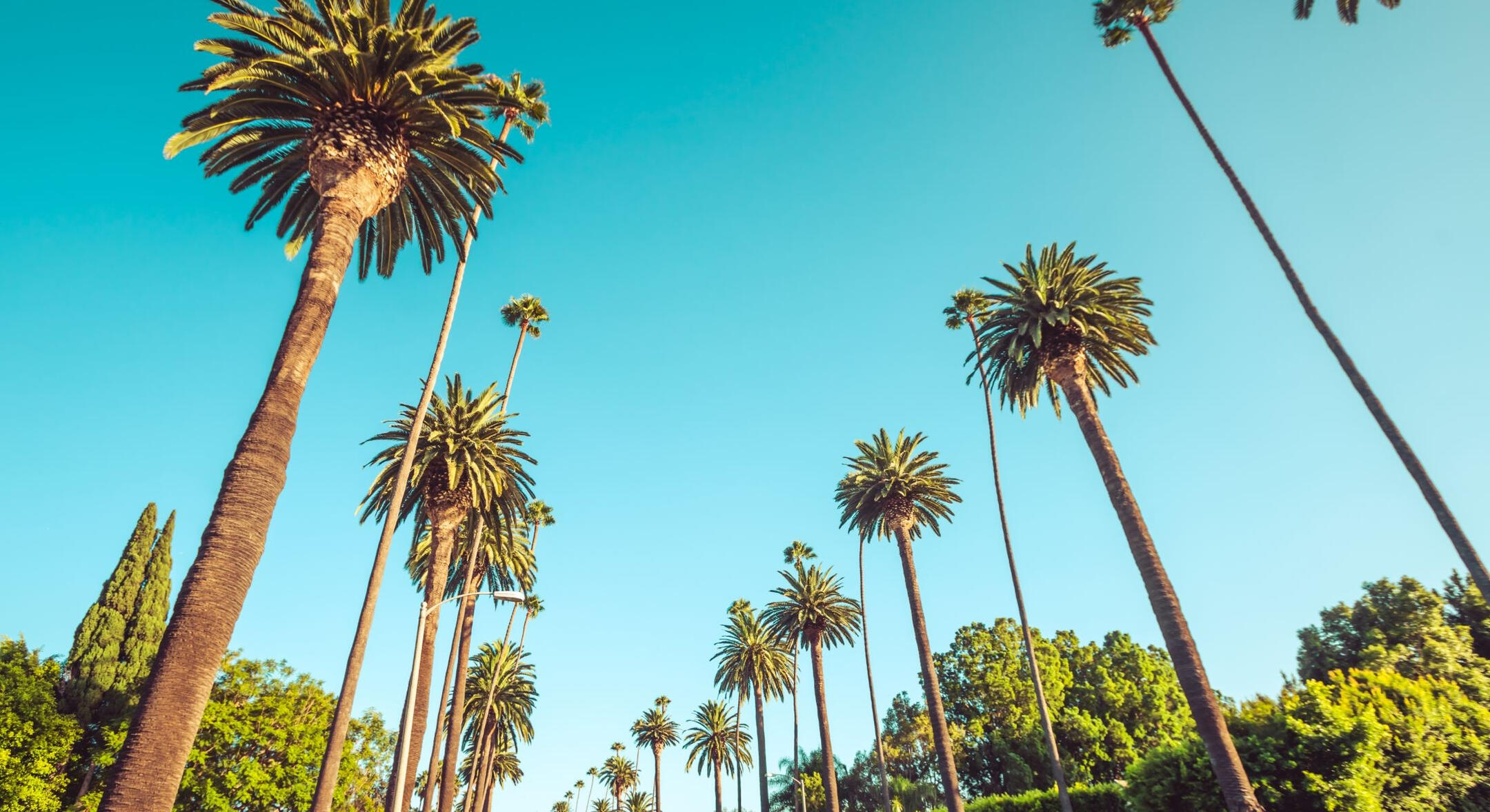 LOCATED IN BEVERLY HILLS, CA. LOCATED IN BEVERLY HILLS, CA.